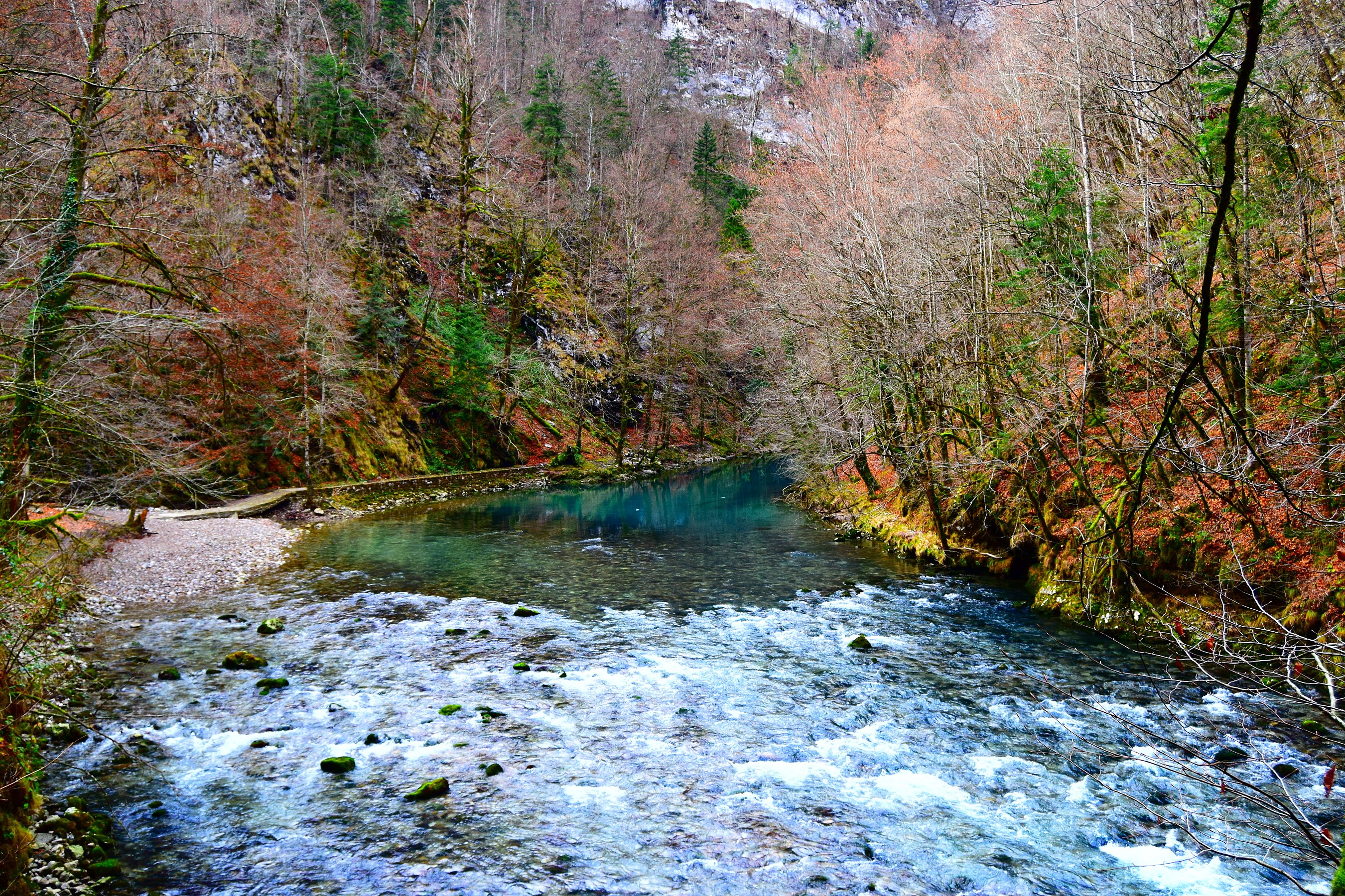 National Park Risnjak Photograph: Ivan Žilić