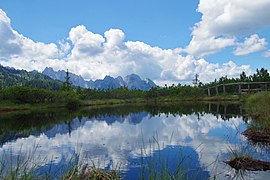 Naturschutzgebiet Löckenmoos