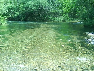 <span class="mw-page-title-main">Lištica (river)</span> River in Bosnia and Herzegovina