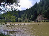 Gorsko okolje Rdeče jezero