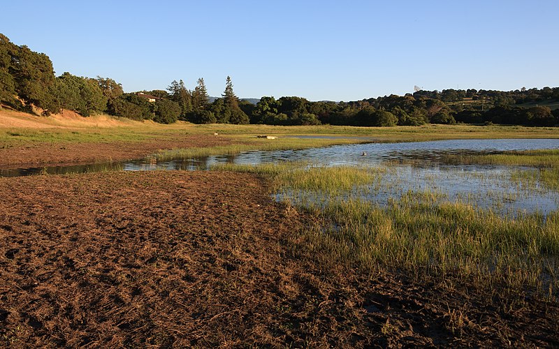 File:Lake Lagunita Stanford May 2011 002.jpg