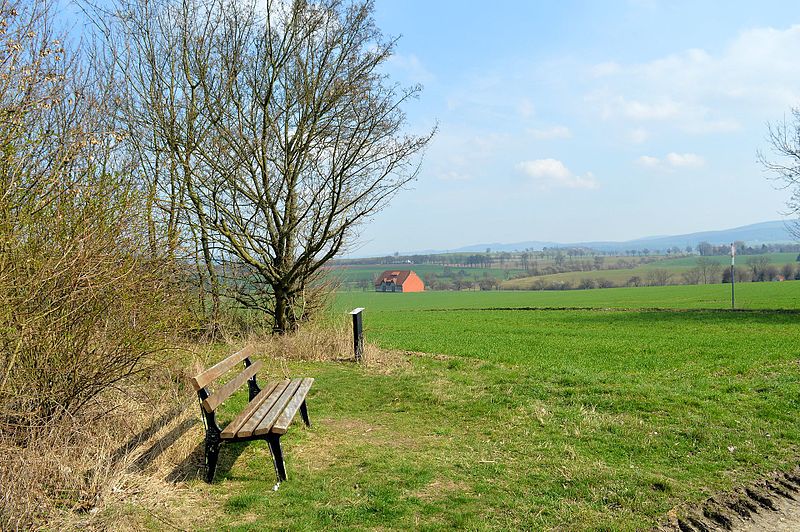 File:Landschaftsschutzgebiet Klingenberg - Südlicher Zugang (9).jpg