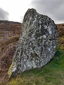 Glacial erratic boulder in Snowdonia (Eryri), Wales Large glacial erratic (boulder), covered in lichen, on the slopes of Moel-y-Ci.jpg