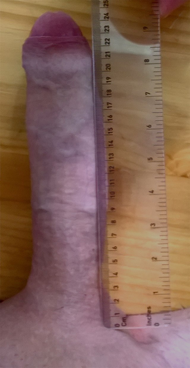 Penis 25 cm