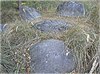 Großsteingrab Leetze 4