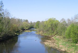 Lėvuo near Akmeniai