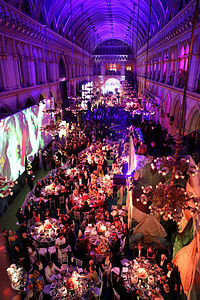 Life Ball 2014: inside