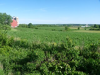 <span class="mw-page-title-main">Lincoln, Wood County, Wisconsin</span> Town in Wisconsin, United States