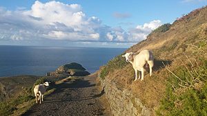 Llangrannog: Cyfrifiad 2011, Caranog, Cyfeiriadau