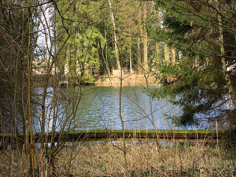 File:Lochweiher.JPG