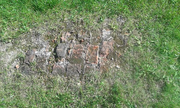 Ruins of the Piast Castle