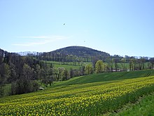 Lockwitzbachtal unterhalb des Luchbergs