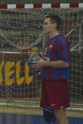 <span class="mw-page-title-main">Luka Žvižej</span> Slovenian handball player