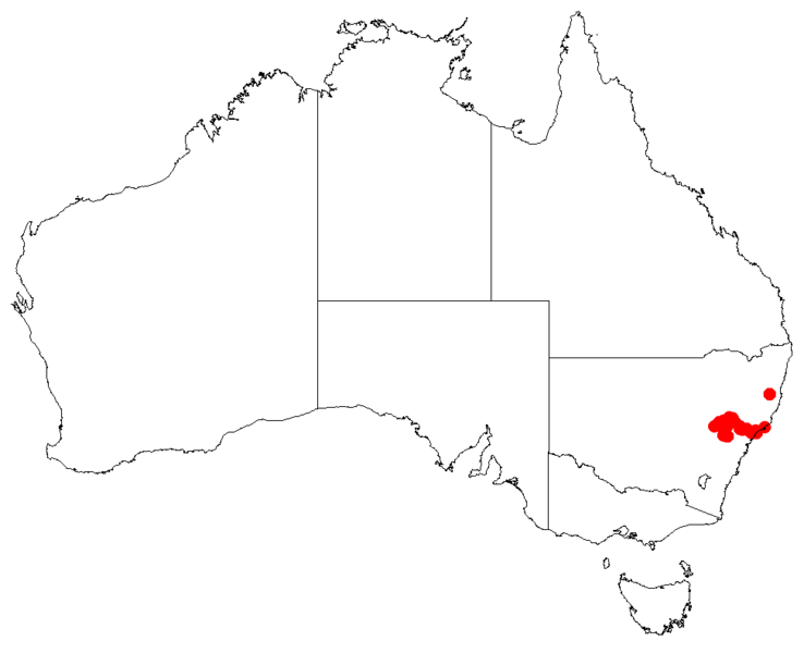 File:Macrozamia reducta Dist Map20.png