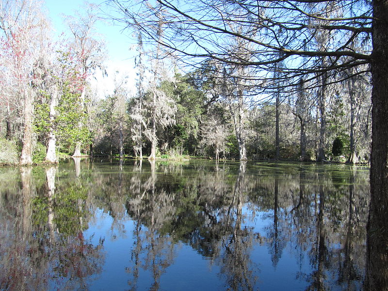 File:Magnolia Plantation and Gardens - Charleston, South Carolina (8556611118).jpg