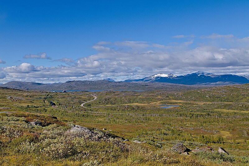 File:Malmbanan at Låktatjåkka 2022-09-01 08.jpg