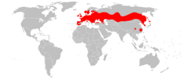 Mapa Myotis daubentonii.png