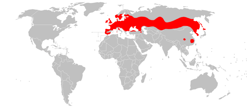 File:Mapa Myotis daubentonii.png