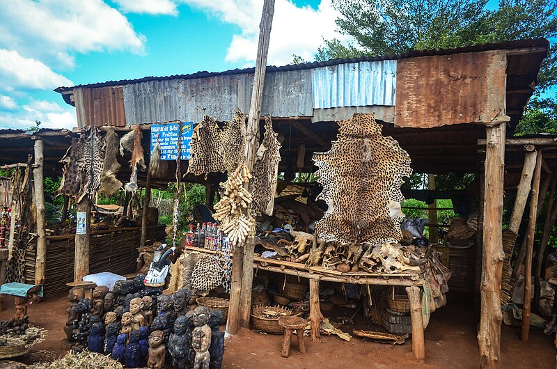 File:Marché noir Bohicon 3 (Benin).jpg