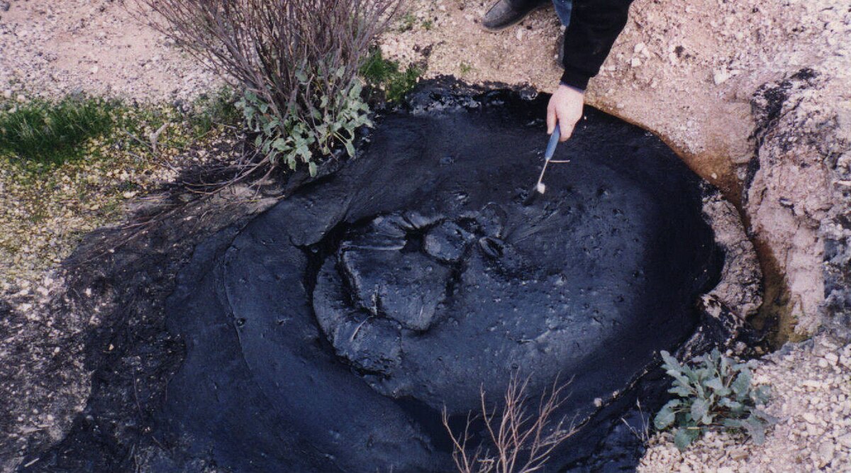 Experiment: Waterproofing With Pine Tar