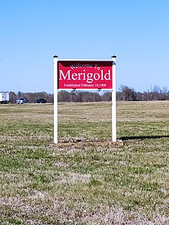 Merigold, Mississippi Town in Mississippi, United States