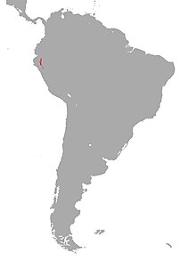 Micrurus peruvianus Map.jpg