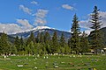 * Nominācija Boulder Mountain above the Mountain View Cemetery, Revelstoke, British Columbia, Canada. --The Cosmonaut 00:39, 28 May 2024 (UTC) * Atzinība  Support Good quality. --Giles Laurent 00:59, 28 May 2024 (UTC)