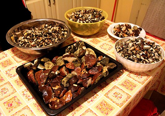 Eadibble mushrooms prepared for cooking