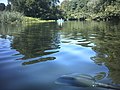 Müllrose Oder-Spreekanal Seitenarm - panoramio.jpg