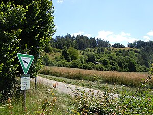 helhetssyn