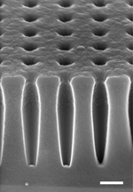 Miniatura para Nanoagujero
