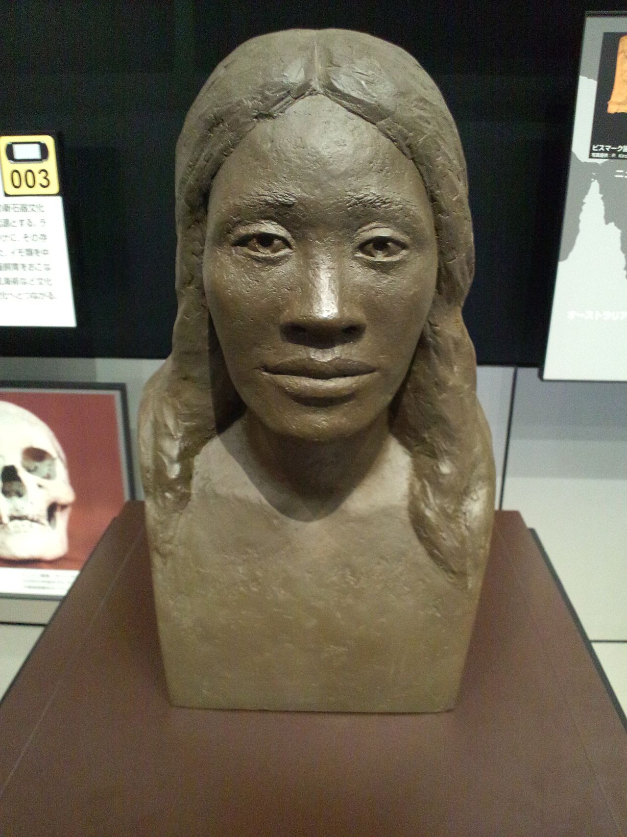 1280px-National_Museum_of_Ethnology%2C_Osaka_-_Reconstructed_Lapita_female.jpg