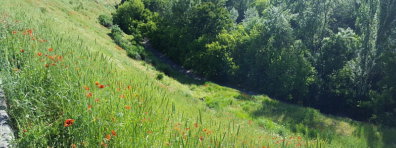 File:Nature In Hrazdan Gorge 03.jpg