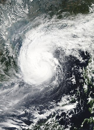 <span class="mw-page-title-main">Typhoon Nepartak (2003)</span> Pacific typhoon in 2003