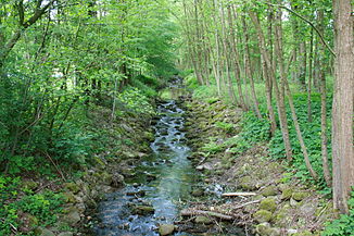 The Hahnenbach between Neuenkirchen and Delmsen