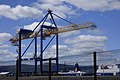 New Belfast Liebherr gantry crane.jpg