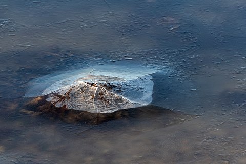 New ice cracking on stone as tide goes out at Govik, Lysekil, Sweden.