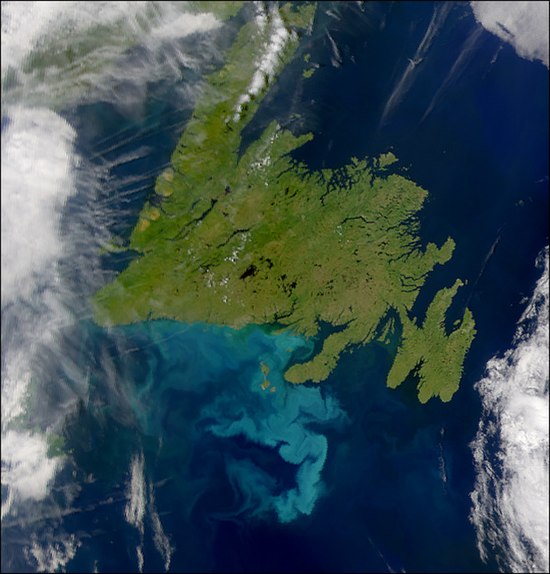 Satellite view of Newfoundland