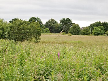 A remnant area of the old loch near Lochside Road. Newton Loch site, Sanquhar Farm, Newton-on-Ayr.jpg