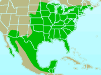 Zona de distribución de Cardinalis cardinalis.