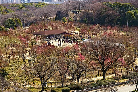 城 公園 梅林 大阪