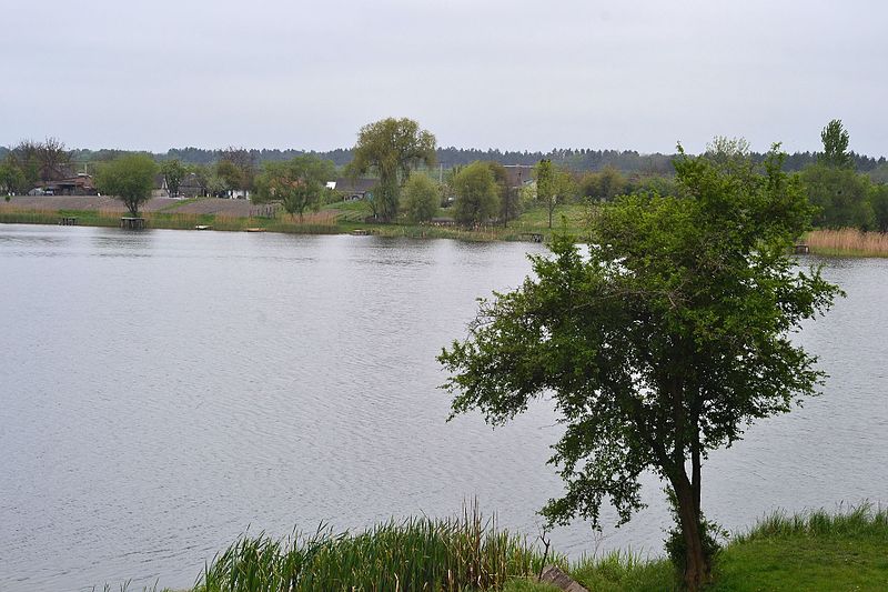 File:Ozero Kivertsivskyi Volynska-nature monument hydrologic Lake-view of the western shore.jpg