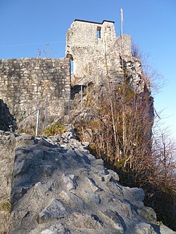 P1020046-neu.jpg