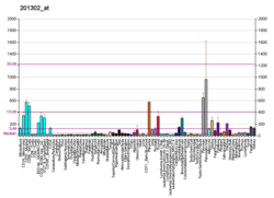 PBB GE ANXA4 201302 di fs.png