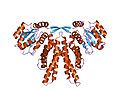 Thumbnail for Cyanobacterial clock proteins