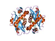 PDB 1zn7 EBI.jpg