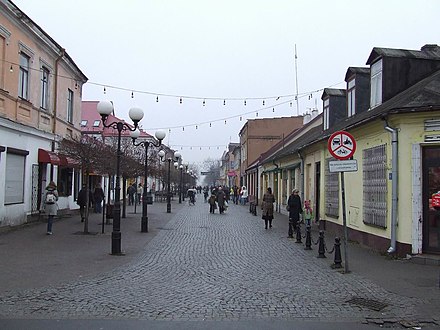 Бялу подляску. Бяла Подляска. Biala Podlaska Польша. Бяла Подляска фото.