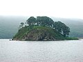 Papenberq adası üçün miniatür