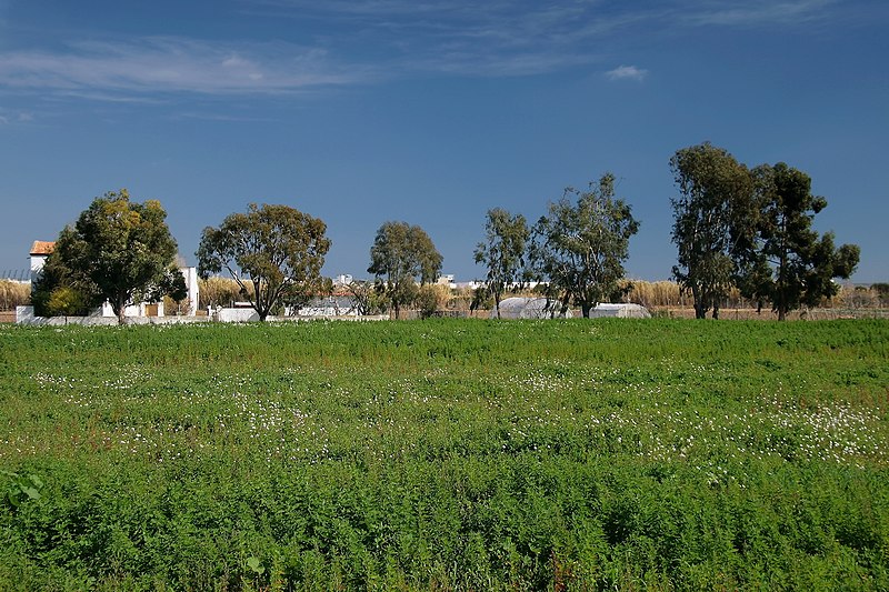 File:Parc Agrari del Baix Llobregat (12901265263).jpg