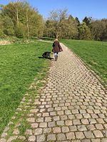 Lieu idéal pour la promenade